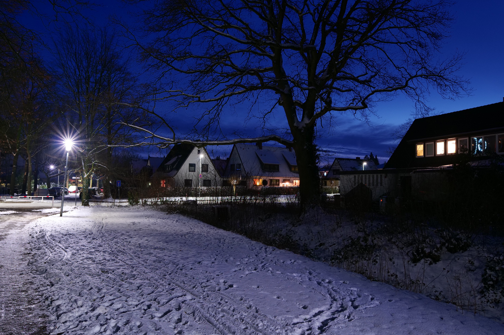 Winter im Sachsenwald/Schleswig-Holstein 