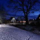 Winter im Sachsenwald/Schleswig-Holstein 