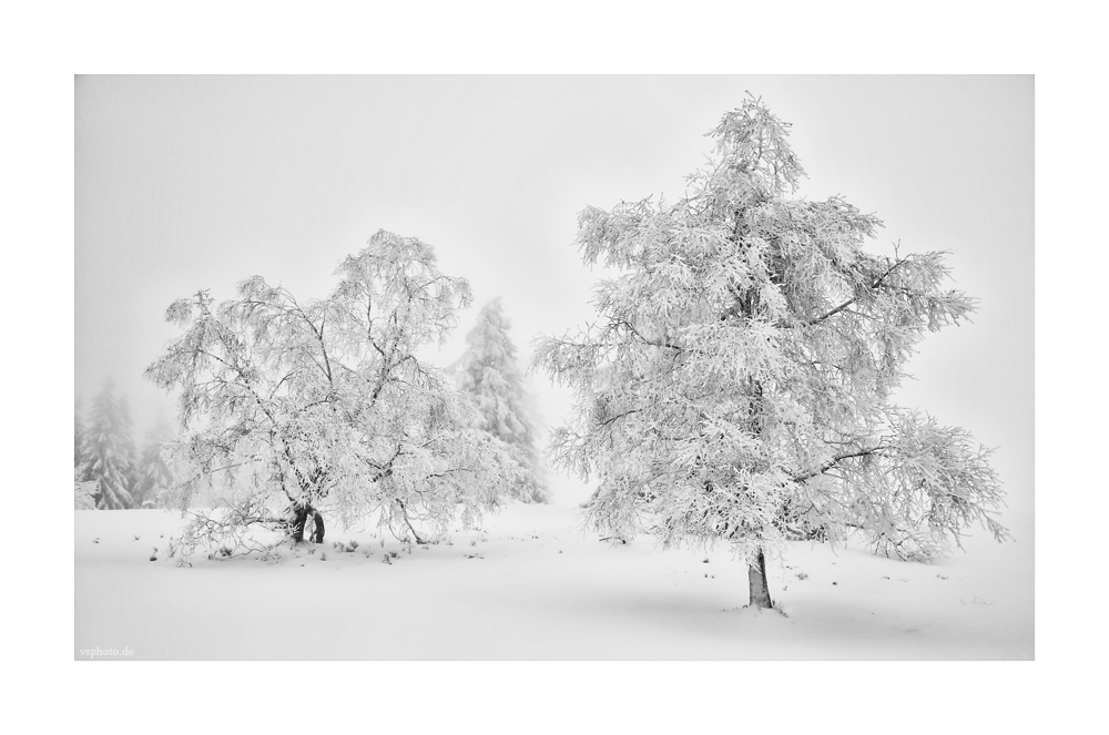 Winter im Sauerland