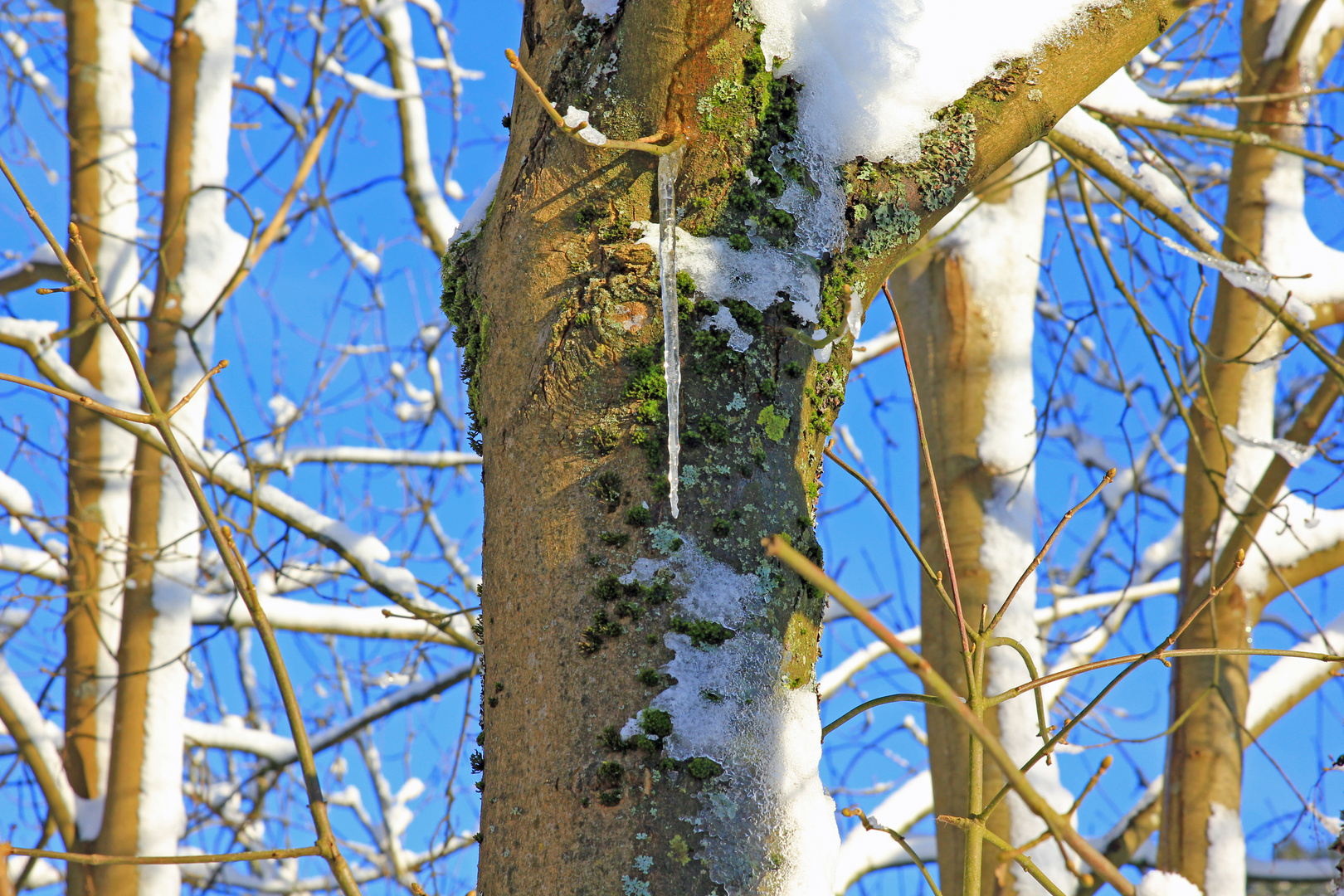 Winter im Sauerland 11