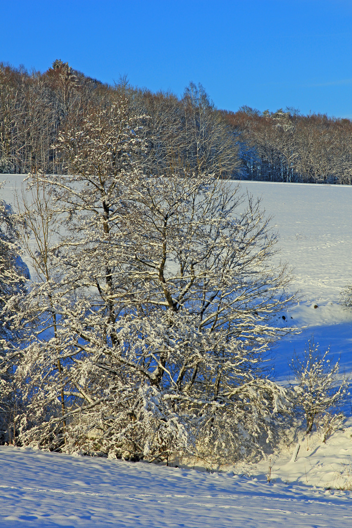 Winter im Sauerland 14