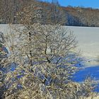 Winter im Sauerland 14