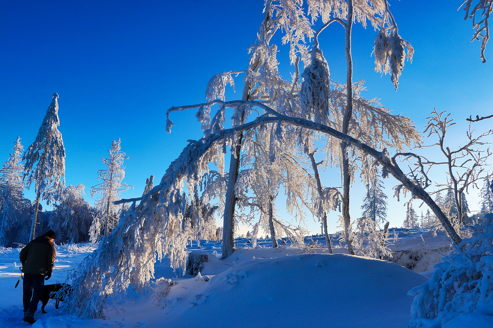 Winter im Sauerland