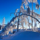 Winter im Sauerland