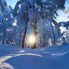 Winter im Sauerland