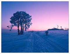 Winter im Sauerland