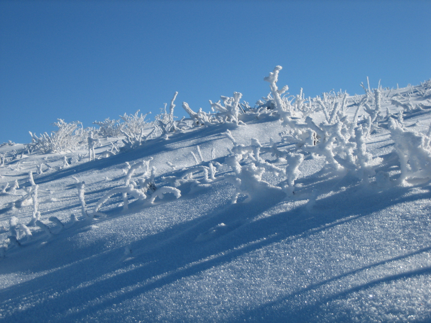 Winter im Sauerland