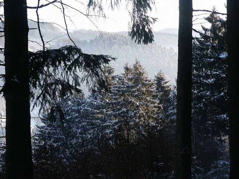 Winter im Sauerland