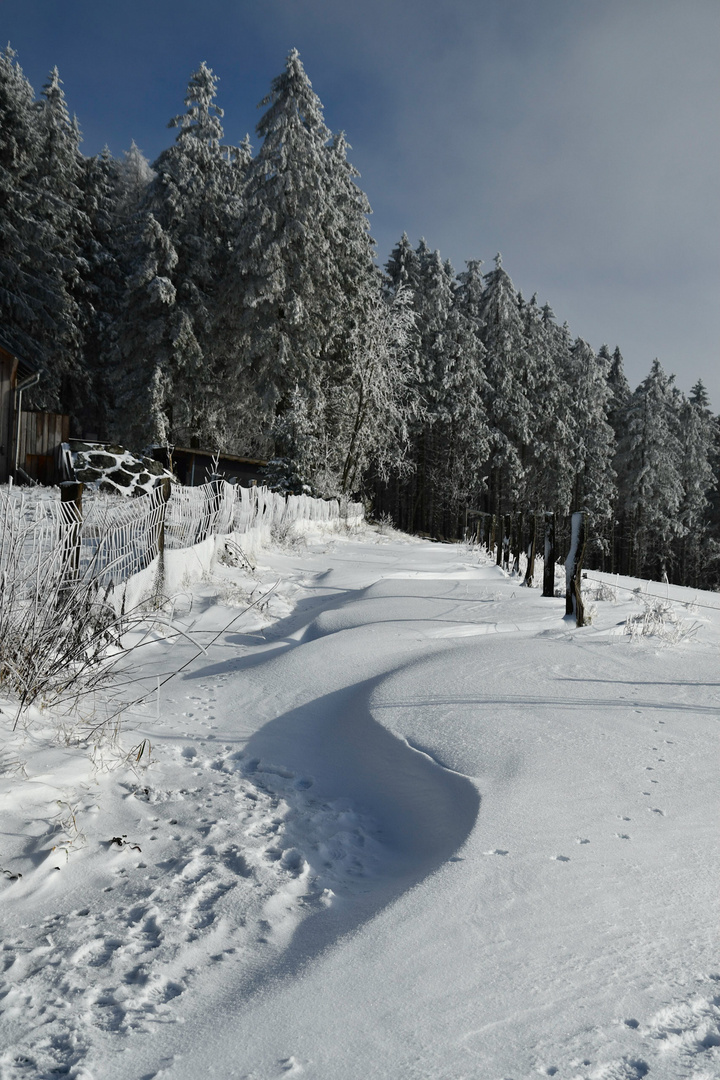 Winter im Sauerland