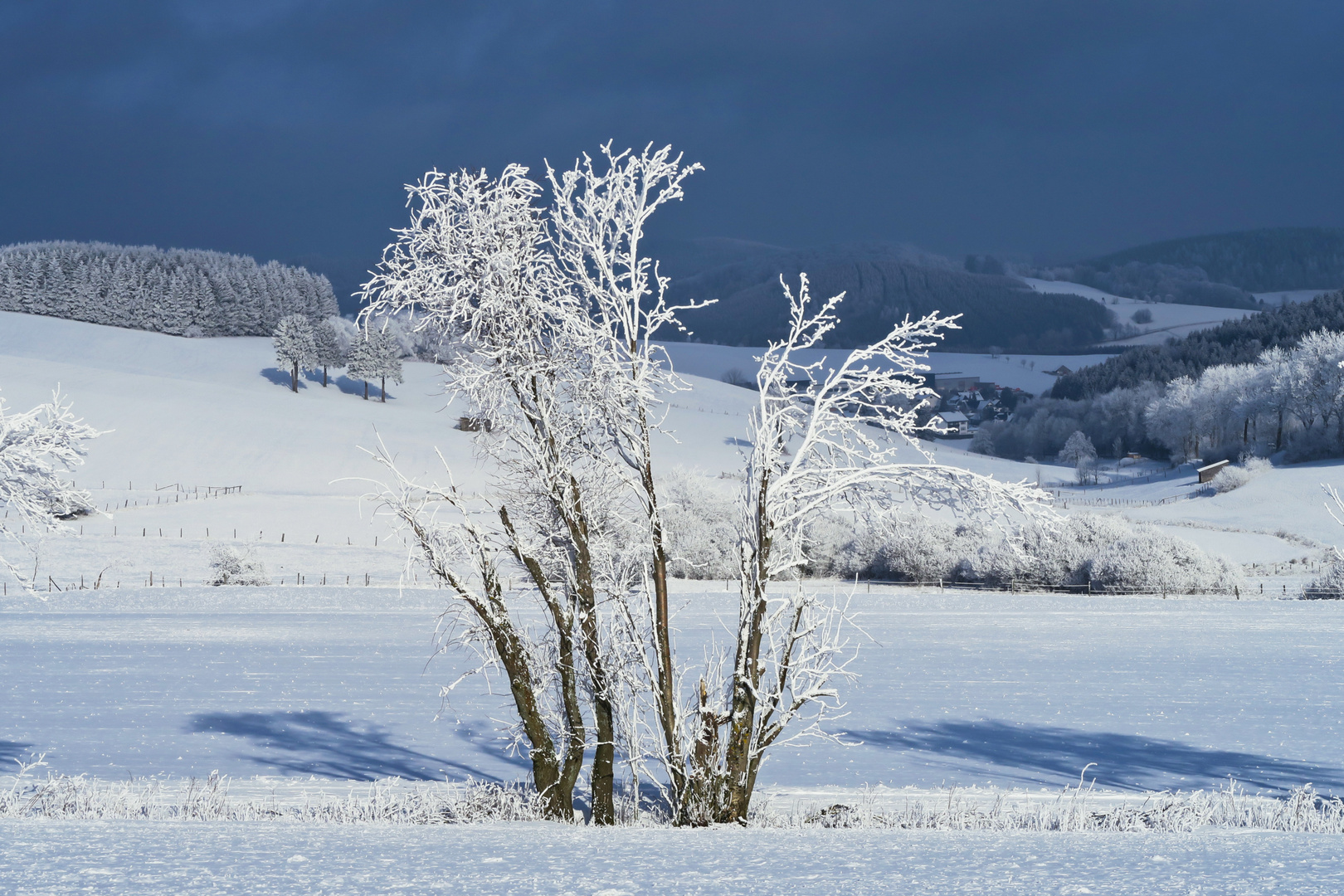 Winter-im-Sauerland