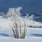 Winter-im-Sauerland