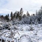 Winter im Sauerland 