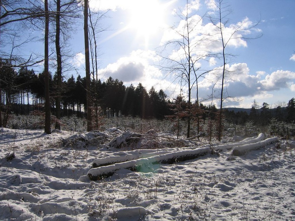 Winter im Sauerland