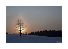 Winter im Sauerland (der brennende Baum)