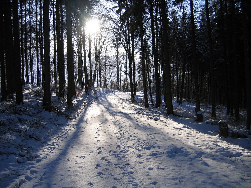 Winter im Sauerland2