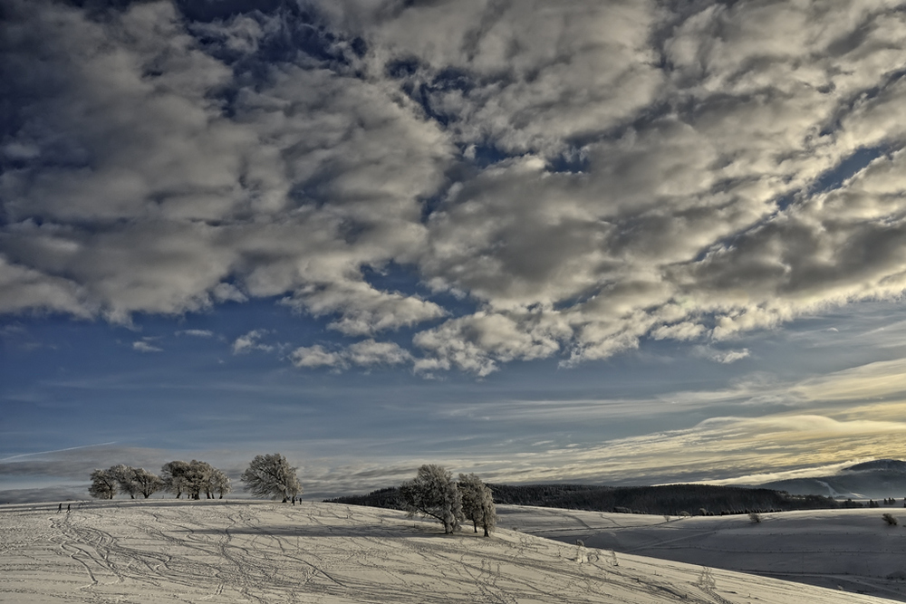 Winter im Schauinsland