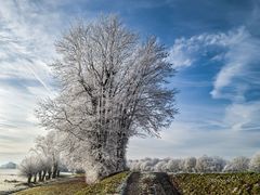 Winter im Schaumburger Land