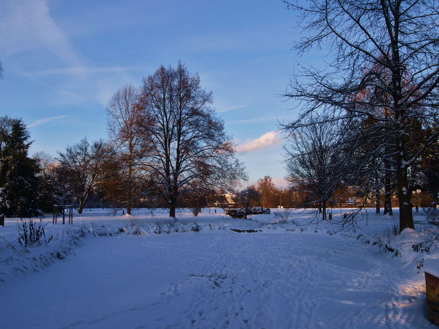 Winter im Schlossgarten