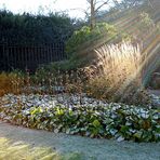 Winter im Schloßgarten