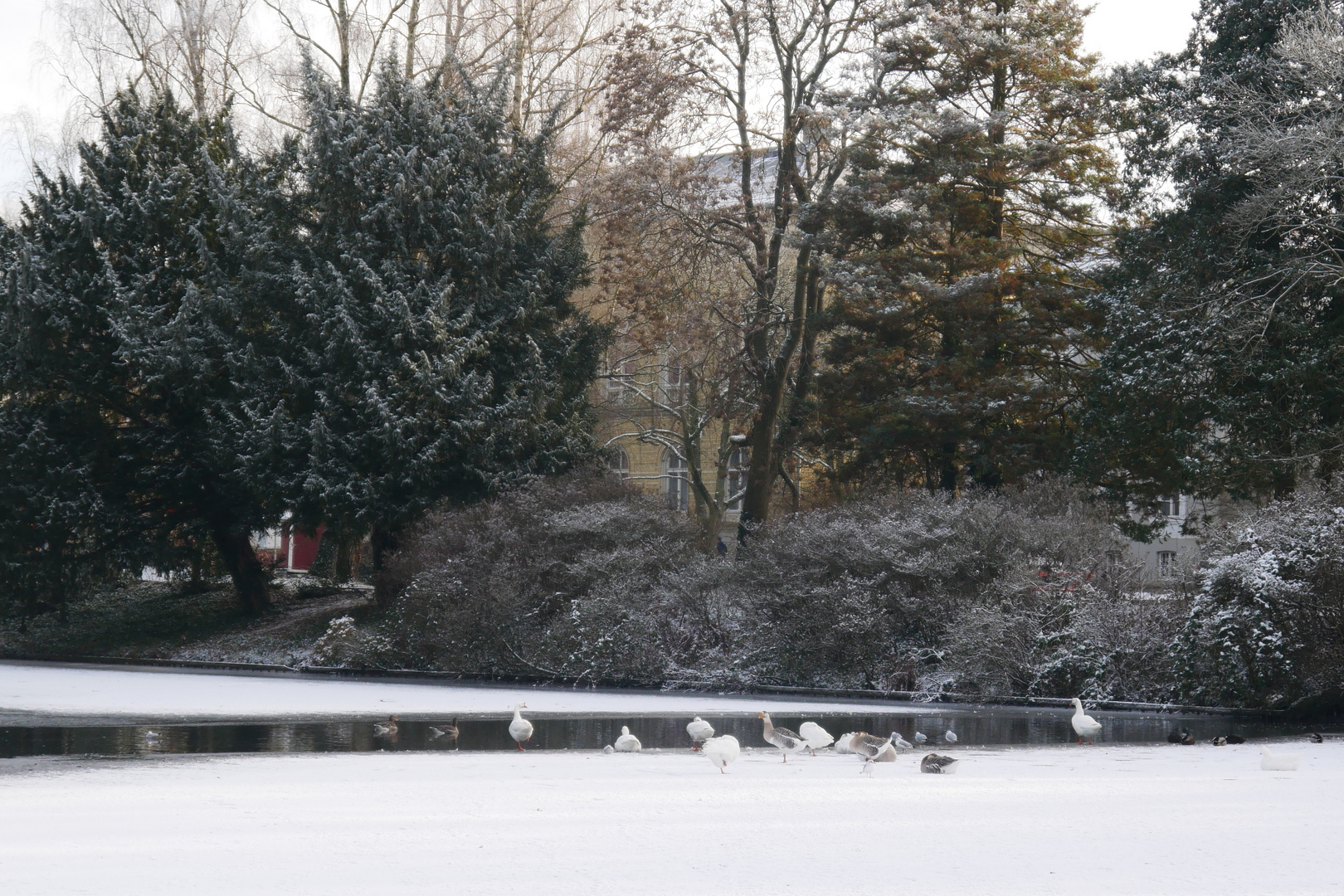 Winter im Schlossgarten...