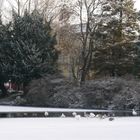 Winter im Schlossgarten...