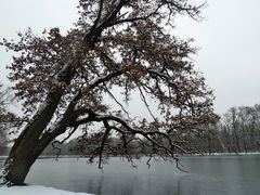 Winter im Schlosspark....