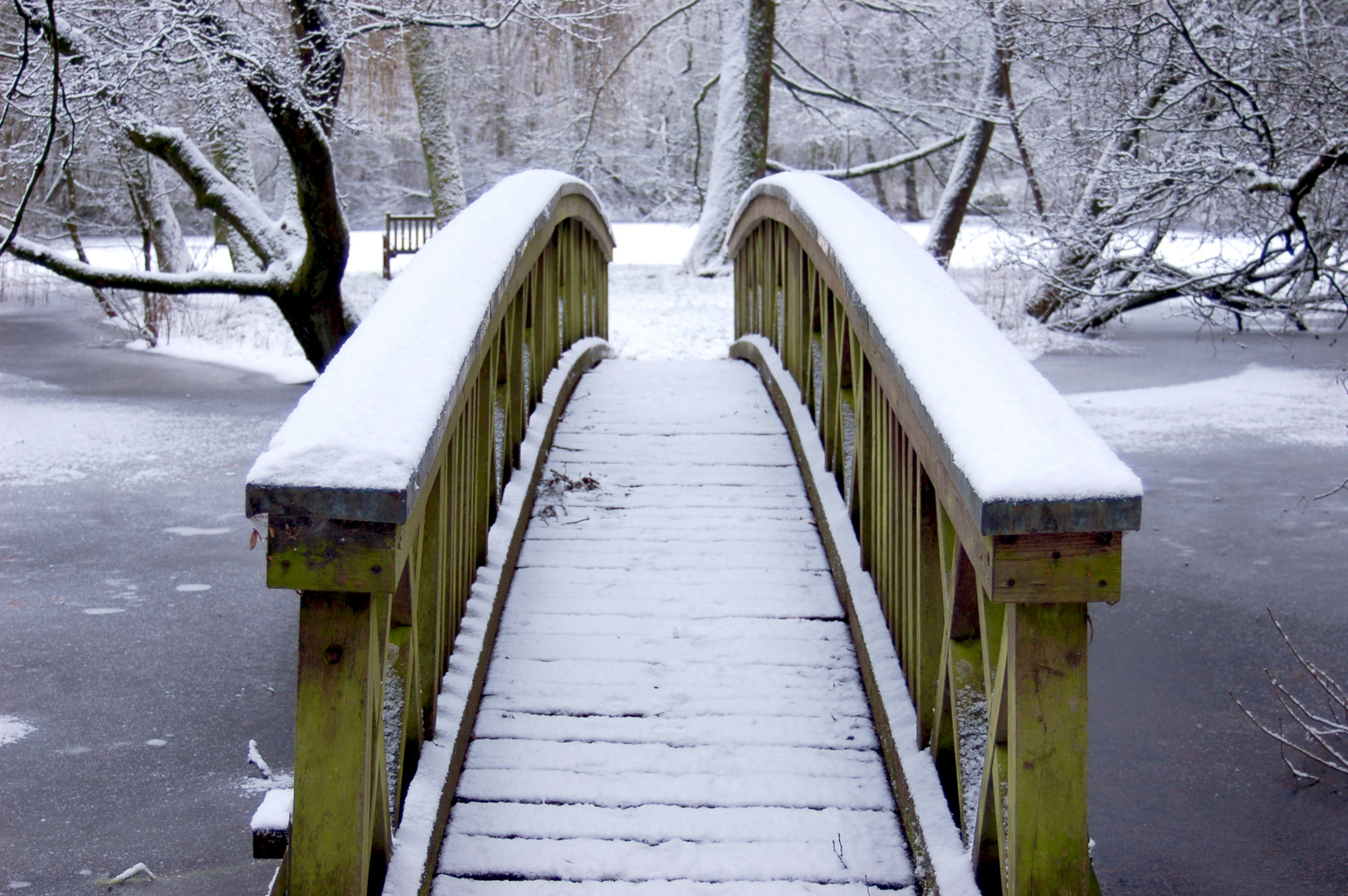 Winter im Schloßpark