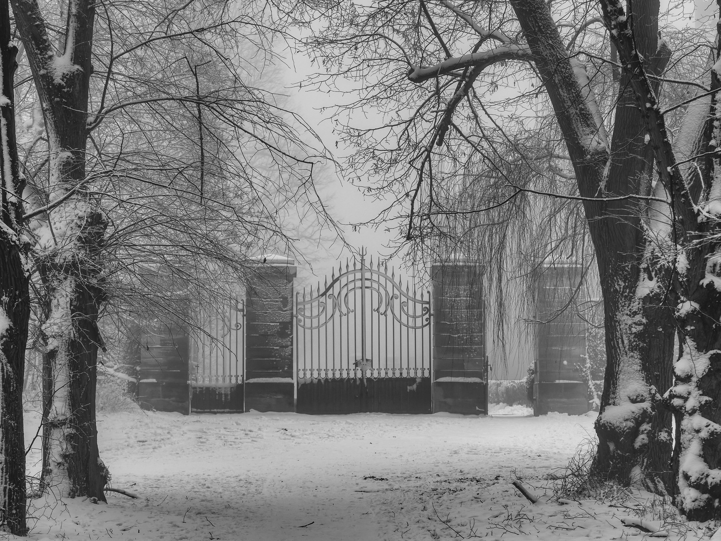 Winter im Schlosspark