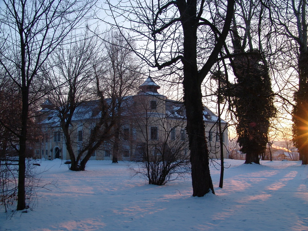Winter im Schloßpark Bad Wimsbach-Neydharting