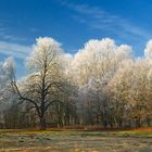 Winter im Schlosspark Groß Ziethen