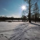 Winter im Schlosspark Herten