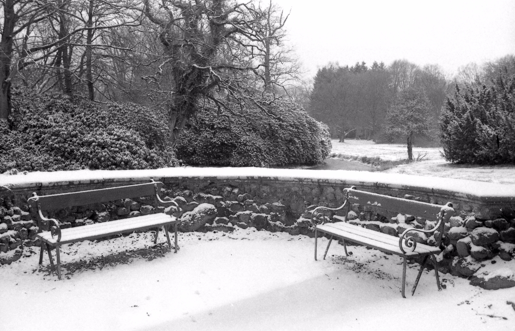 Winter im Schlosspark Lütetsburg