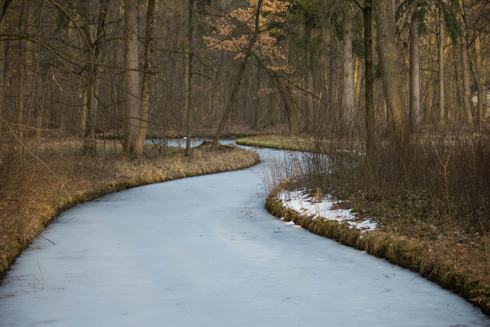 Winter im Schloßpark Nymphenburg