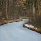 Winter im Schloßpark Nymphenburg