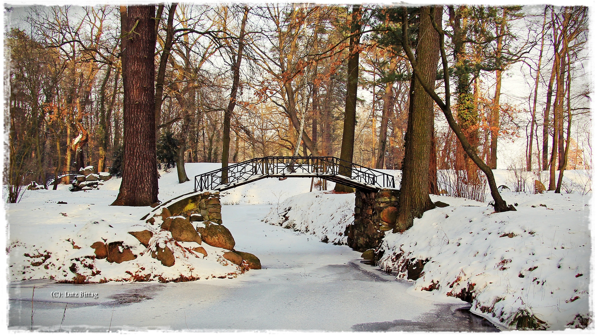 Winter im Schlosspark von Oranienbaum
