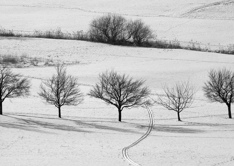 Winter im Schönbuch