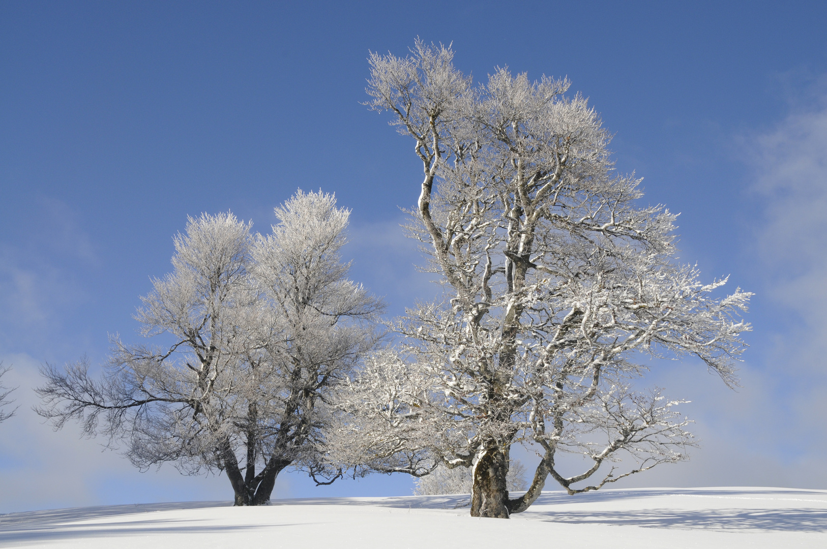 Winter im schönstem Licht