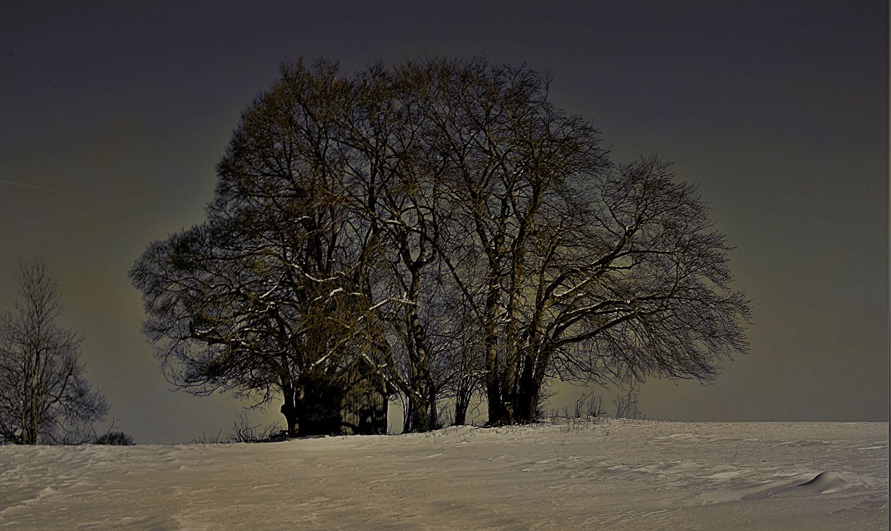 Winter im Schwabenländle  - 2021