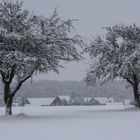 Winter im Schwabenland