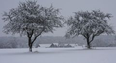 Winter im Schwabenland