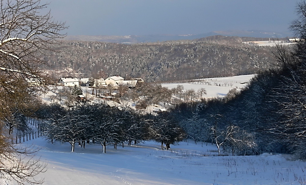 Winter im schwäbischen Wald