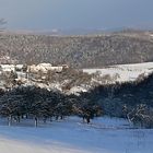 Winter im schwäbischen Wald