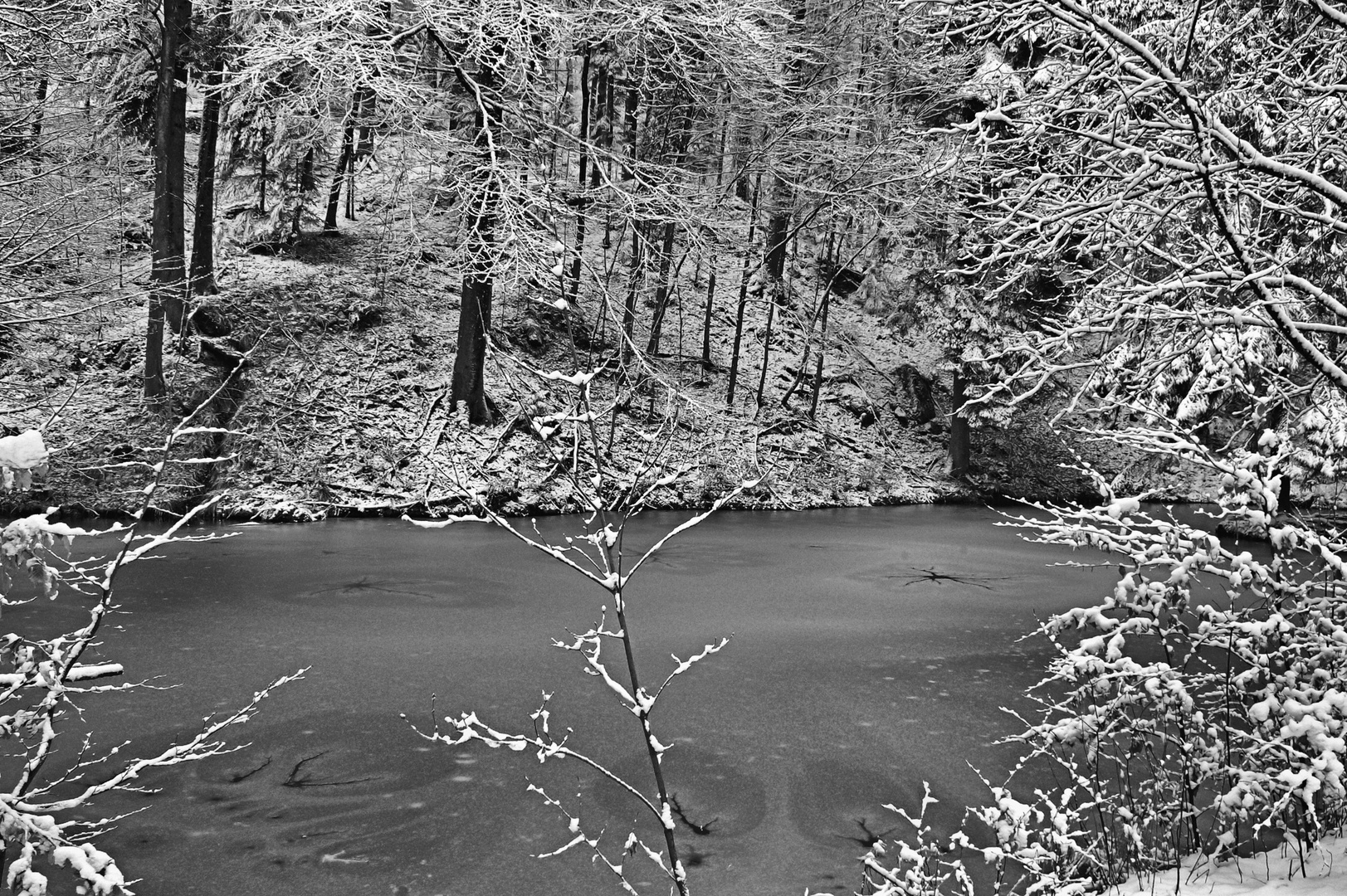 Winter im schwäbischen Wald