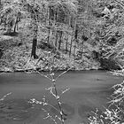 Winter im schwäbischen Wald