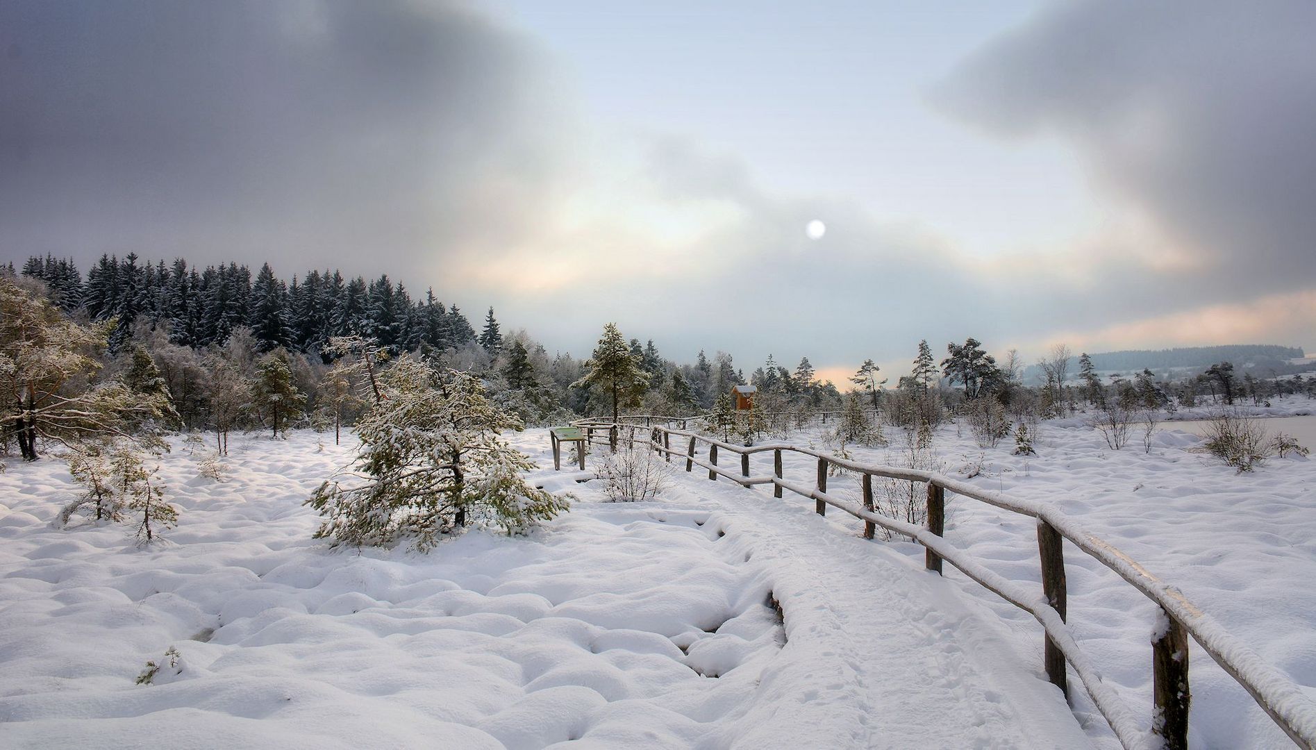 Winter im  schwarzen Moor