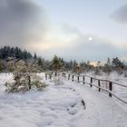 Winter im  schwarzen Moor