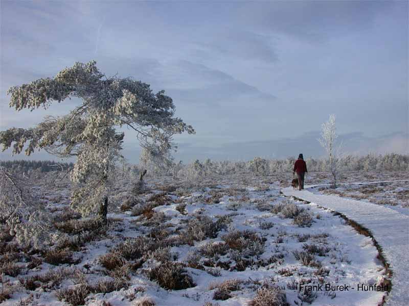 Winter im Schwarzen Moor der Rhön