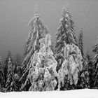 Winter im schwarzen Wald