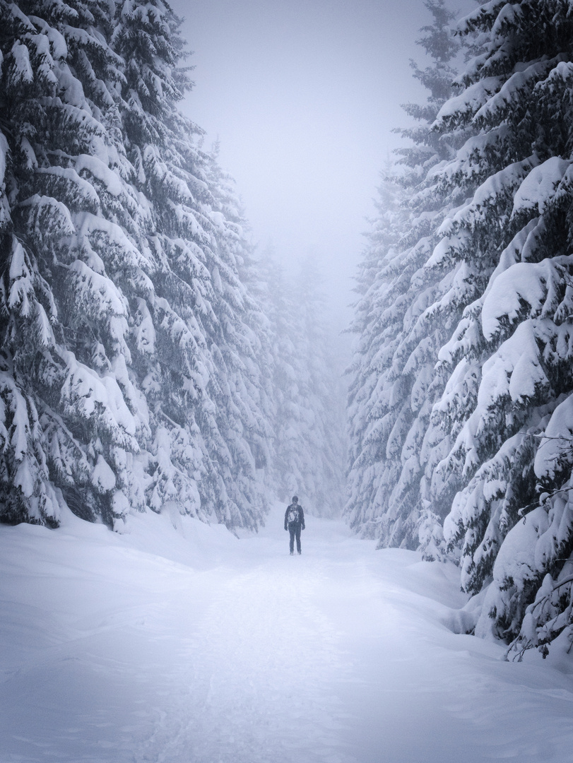 Winter im Schwarzwald - 01