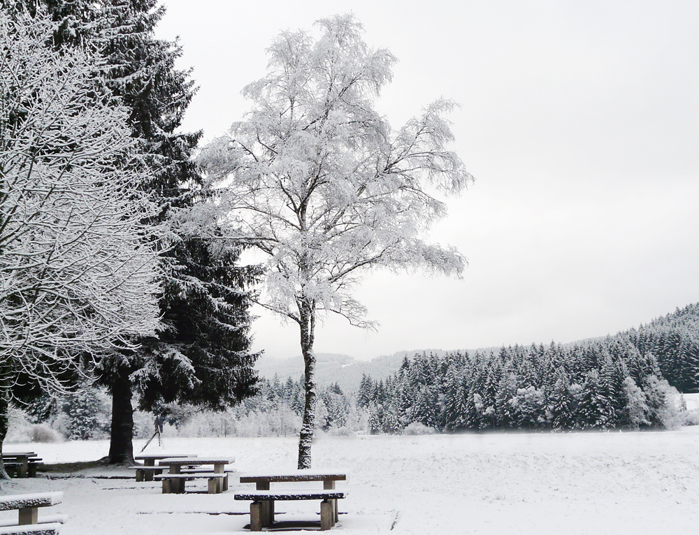 Winter im Schwarzwald